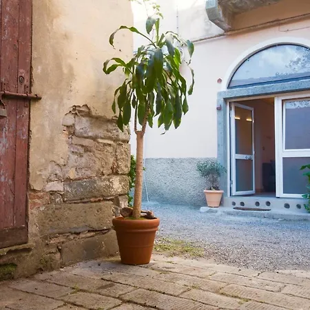 Rock & Wood - & La Spezia